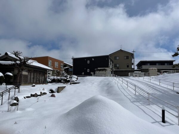 2025年2月の大雪