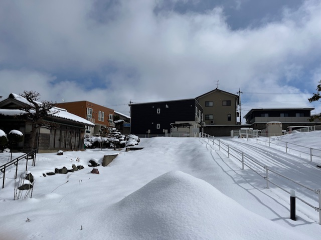 2025年2月の大雪